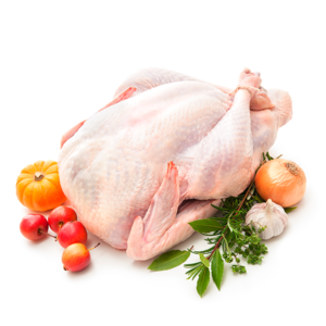 Free Range Turkey